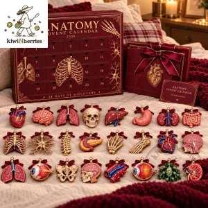 2026 Anatomy Advent Calendar 5 2026 Anatomy Advent Calendar